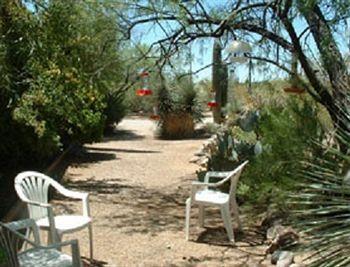 Bed And Bagels Of Tucson Hotel Tanque Verde Bagian luar foto
